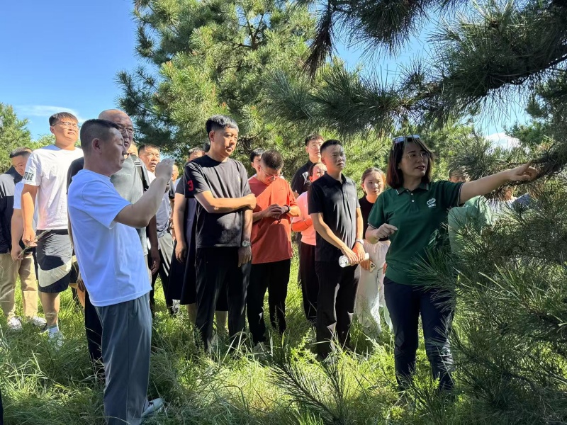 【工作动态】兴安盟召开林草有害生物防控综合能力提升培训班(图3)