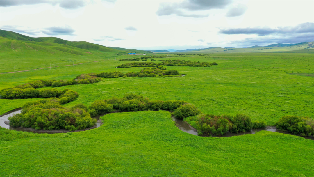 兴安盟再添生态殊荣：森林城市与森林乡镇创建成果显著