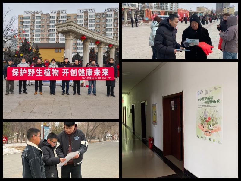 【工作动态】全盟林草系统开展2026年世界野生动植物日主题宣传活动