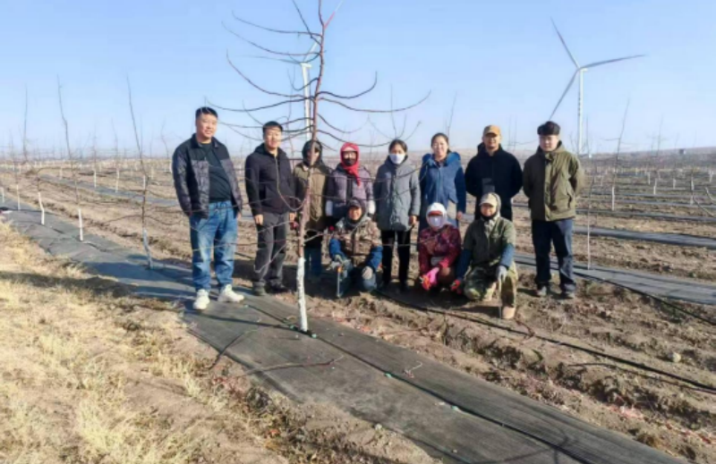 【工作动态】盟林研所开展林果科技“下乡”服务活动